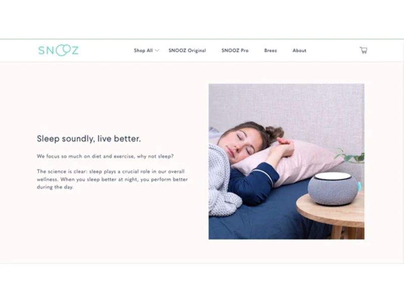 mô hình dropshipping thành công tiếp theo là SNOOZ