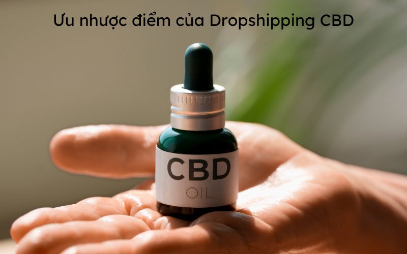 lam-dropshipping-cbd-tren-shopify-1.jpg 