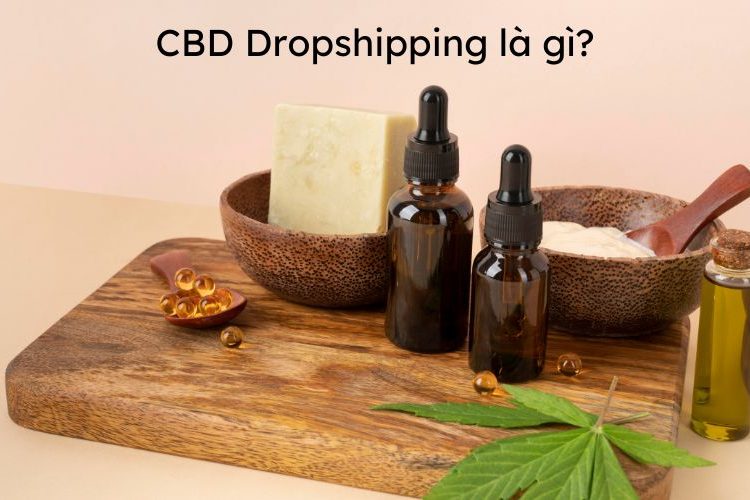 lam-dropshipping-cbd-tren-shopify.jpg