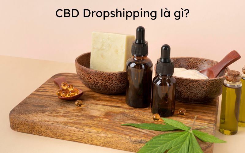 lam-dropshipping-cbd-tren-shopify.jpg 