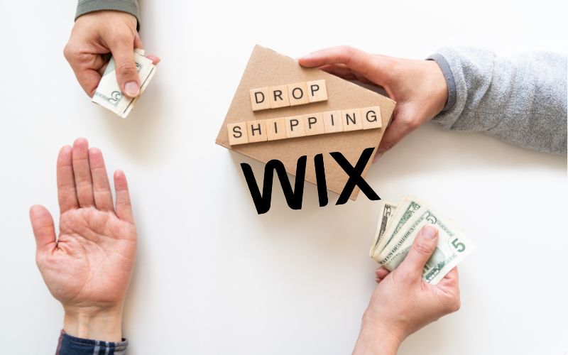 lam-dropshipping-tren-wix-7.jpg 